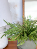 20" Faux Soft Touch Norfolk Pine Bush