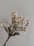 13" Faux Cream Dried Daisy Bundle