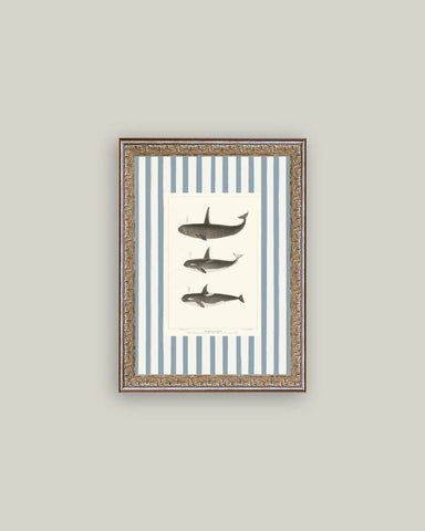 Whales on Stripes Framed Antique Art