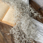 37" SPANISH MOSS BUSH