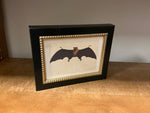 Small bat print