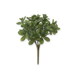 11.5 Inch Jade Pick