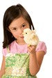 Mini Chick