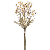 13" Faux Cream Dried Daisy Bundle