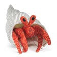 Mini Crab, Hermit