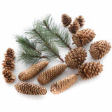 Natural Gold Painted Pinecones and Faux Pine Sprigs