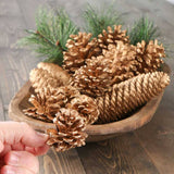 Natural Gold Painted Pinecones and Faux Pine Sprigs