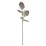 39 Inch Purple & Green Eva Two Bloom Stem