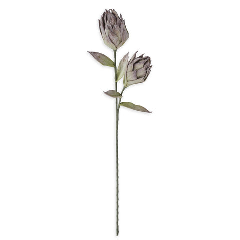 39 Inch Purple & Green Eva Two Bloom Stem