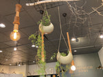 Green Hanging planter