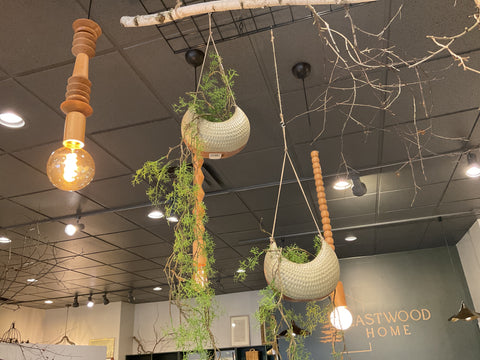 Green Hanging planter