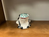 Painted frog