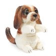 Mini Dog