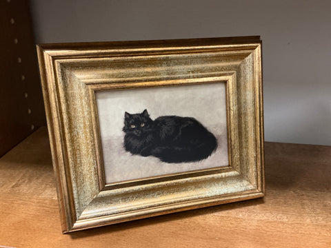 Black cat print