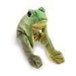 Mini Frog, Sitting