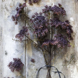 Artificial Queen Anne's Lace, Purple