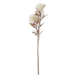 29.5 Inch White Spikey Cactus Dahlia Stem