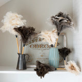 Feather Duster (14in)