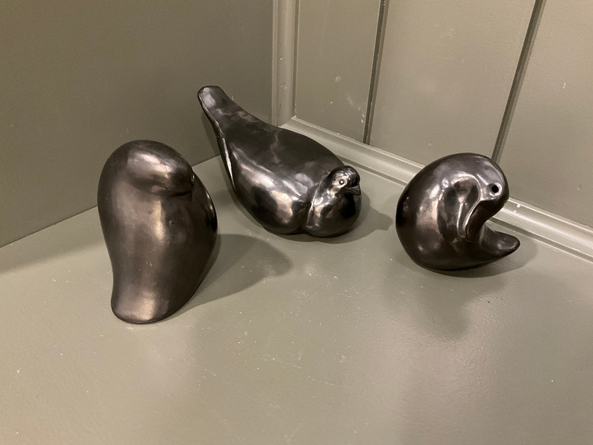 Metallic birds – Eastwood home