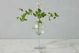 Sage Wine Glass Vase, Medium