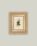 Bell with Pine Framed Antique Art