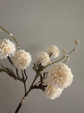 13.5" Faux Cream Aster Mum Bundle