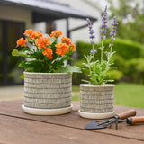 Planters - Ivory Ceramic Line with Saucer (2 SIZES), 6/8 in.