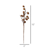 Botanical Stem - Chinaberry
