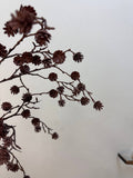 35" Mini Brown Pine Cone Spray