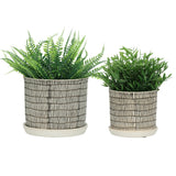 Planters - Ivory Ceramic Line with Saucer (2 SIZES), 6/8 in.
