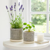 Planters - Ivory Ceramic Line with Saucer (2 SIZES), 6/8 in.