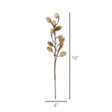 Botanical Stem - White Sage