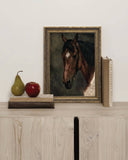 Horse Portrait