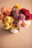 BUNDLE OF SEVEN  ARTIFICIAL DALHIAS - RED