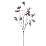 40.5" Mini Brown Pod Spray