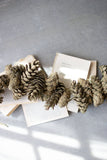 SAGE PINECONE GARLAND