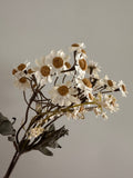13" Faux Cream Dried Daisy Bundle