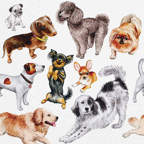 Large Dogs Happiness Napkin-20 pack-4165
