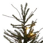 Vickerman 5' x 34" Vienna Twig Dura-Lit 150WW