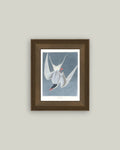 Great Tern Bird Painting Framed Antique Art