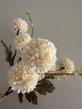 13.5" Faux Cream Aster Mum Bundle