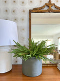 20" Faux Soft Touch Norfolk Pine Bush