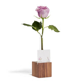 Base Vase + The Block Party Bundle (Walnut)
