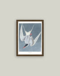 Great Tern Bird Painting Framed Antique Art