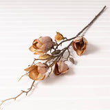 Branch - Magnolia (PK/12 AST)