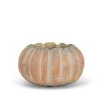 Cement Pumpkin Planter
