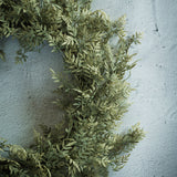 22" MINI FICUS WREATH