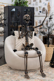 Becki Owens 61-inch Dark Brass-Colored Posable Skeleton