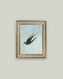 Swallow Boraston