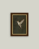 Hummingbird on Green